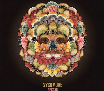 WIEGEDOOD + SYCOMORE / VENDREDI 25 MAI 2018 / LA LUNE DES PIRATES