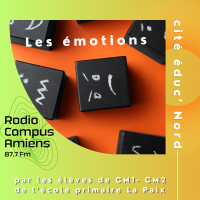Radio Campus Amiens. Cité éduc'Nord : Les émotions. par les élèves de CM1-CM2 de l'école primaire La Paix .