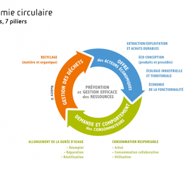 Emission sur « l’économie circulaire » – L’Eco locale – 26/5/2018